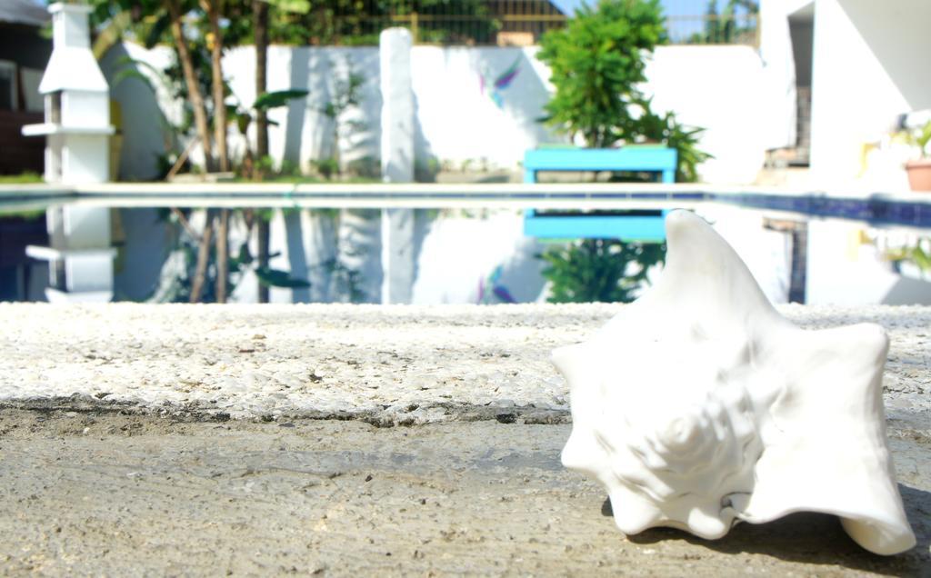 Hummingbird Cabarete Aparthotel Bagian luar foto
